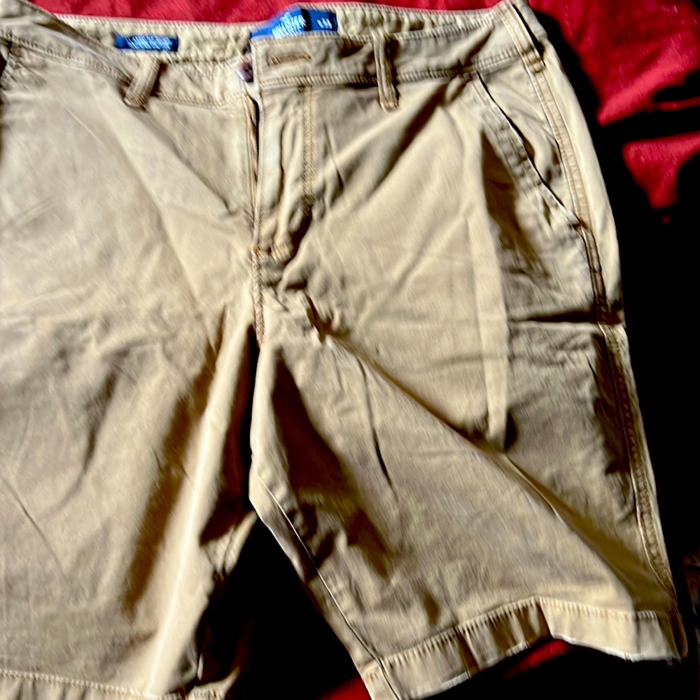 Hollister flat front shorts